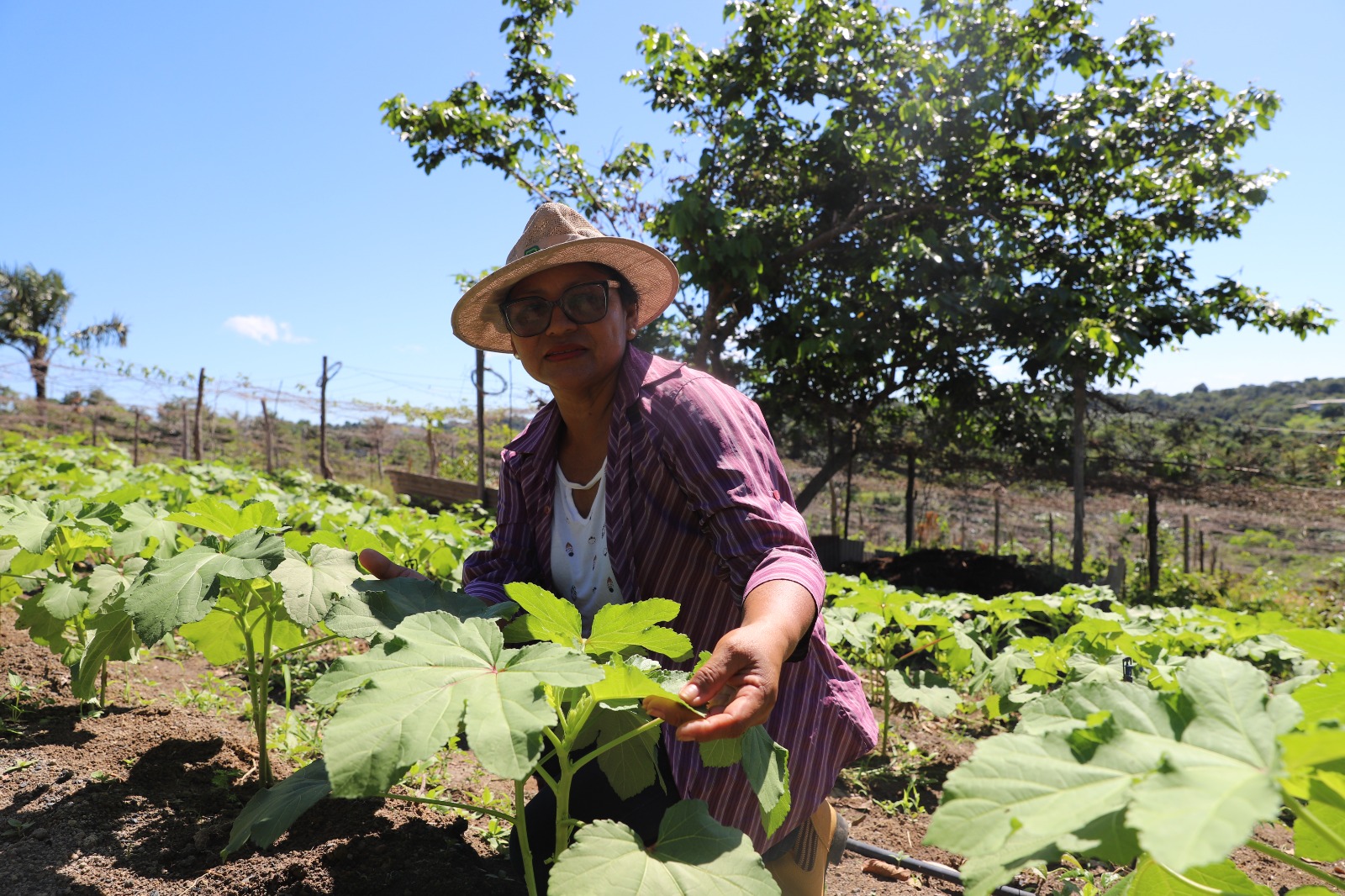 Dia da Mulher: Agricultoras como protagonista no agronegócio amazonense